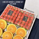 총각네강남 이미지