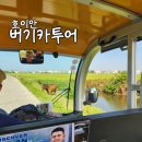 호이안 버기카 투어 호이안고 후기 내돈내산