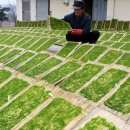 사창3리 이미지