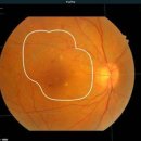 주식회사메드솔루션 이미지