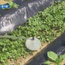 고려방제 - 김해시 인제로169번길 12 | 고려방제