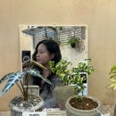 센스엘 | 부산 시청 신상 꽃집 페온포, 퀄리티 미친 센스있는 선물 내돈내산 후기