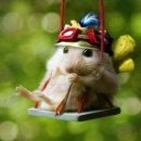 이김 이미지