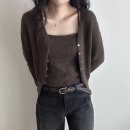 단델리온 이미지