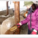 태호목장 이미지