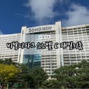 소노벨 타워 C 비발디파크 | 홍천 비발디파크 소노벨 타워C 패밀리 스탠다드 내돈내산 후기 - 객실, 부대시설