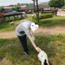 해솔목장 이미지