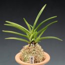 무영농장 이미지