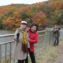 바울농장 이미지