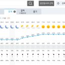 Re: 2023년 8월 5일(토) 일기예보 이미지