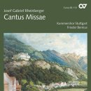 사순시기 묵상하기 좋은곡 2번째 (십자가길의 성모) Stabat Mater - Rheinberger 이미지