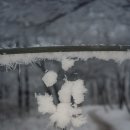 연제구-076 이미지