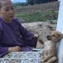 골든힐폼 이미지