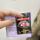 안마산로 이미지