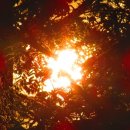 아침햇살 이미지