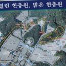 현충원 산책길 이미지