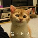 부산마트 - 경산시 | 부산마트