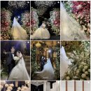 #3 예비신랑이 정리한 Ι 결혼식 아이폰 스냅 리스트