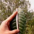 지리산품