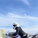 최루백로 이미지