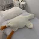 K.B샵 | 파주 야당ㅣ깔끔한 1인샵 베테랑 원장님 브라질리언 왁싱 솔직후기 순수슈가링 파주야당본점ㅣ파주 야당...