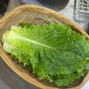 꿀꿀연탄구이 | [광주/치평동] 1인 1후라이면 말 다했지 뭐♡ 운천역 맛집, 꽃돼지 연탄구이