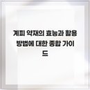 온아한의원 월배월성점 | 따뜻한 기운이 흘러 넘치는 계피활용법 - 계피 약재의 효능과 활용 방법에 대한 종합 가이드