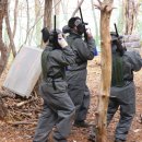 정무태권도체육관 이미지