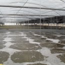 인성주유소 이미지