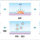 명품 세탁연구소 이미지