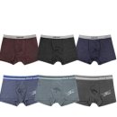 아놀드바시니 이미지