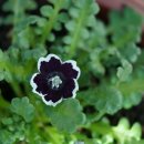 주변 이야기 이미지