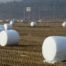 마시멜로 이미지