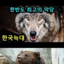 조선시대 과거시험 치르러 가는 길 난이도 이미지