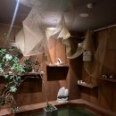 심야주택 이미지