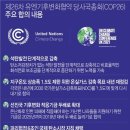 유엔그래픽 연합뉴스