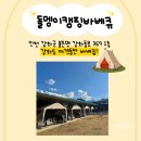 R.[돌멩이캠핑바베큐]강화도 바베큐 캠핑장 솔직후기👍 애견동반 가능❗️