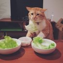 일산닭발 2호점