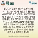 콩깍지 이미지