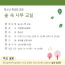 숲속나무교실 이미지