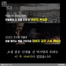조선백정