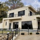 연출의 자유인 이미지