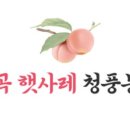 청풍농원 - 해남군 이진2길 184 | 청풍농원
