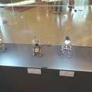 화이트 행정사사무소 이미지