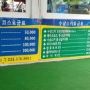 풍차수상스키장 네이버블로그