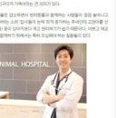조인트동물병원 네이버블로그