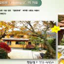 숲속개울가 이미지