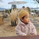 명지헤어시보