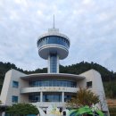 보성읍사무소앞 | 보성 녹차리조트 이용 후기
