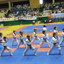 코리아타이거즈태권도 이미지